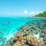 snorkeling in playa del carmen