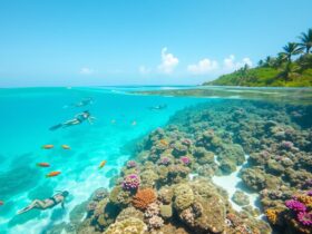 snorkeling in playa del carmen