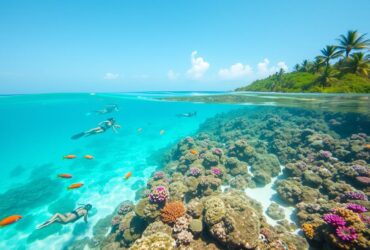 snorkeling in playa del carmen