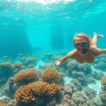 Playa del Carmen snorkeling spots