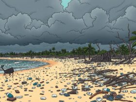 Playa del Carmen climate change impact